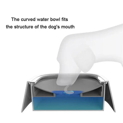 Non-Spill Pet Water Bowl